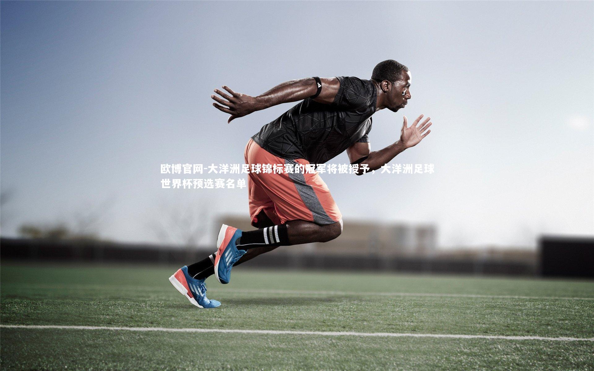 欧博官网-大洋洲足球锦标赛的冠军将被授予，大洋洲足球世界杯预选赛名单-第2张图片-欧博官网