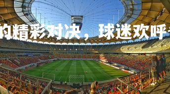 欧博官网-赛场上的精彩对决，球迷欢呼雀跃，球赛很精彩-第2张图片-欧博官网