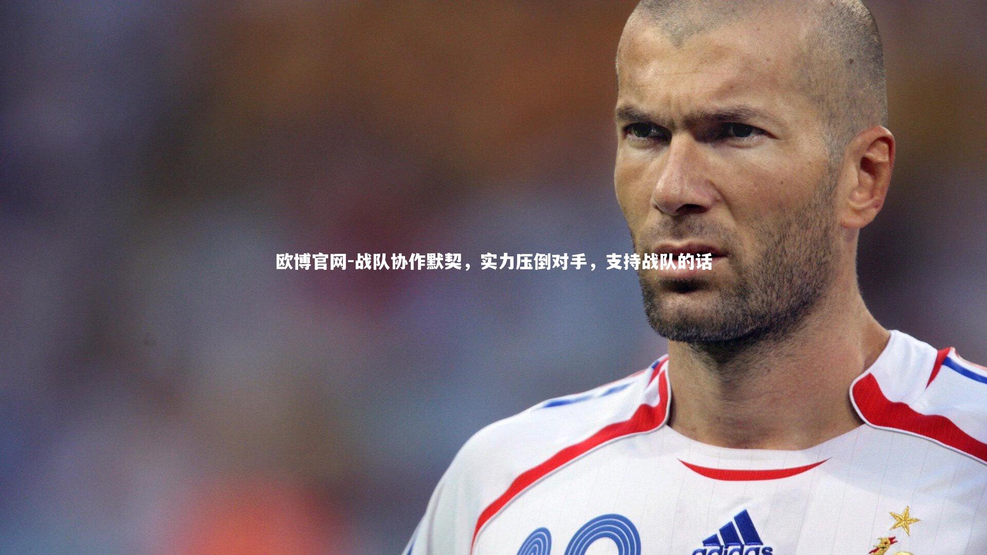 欧博官网-战队协作默契，实力压倒对手，支持战队的话-第2张图片-欧博官网