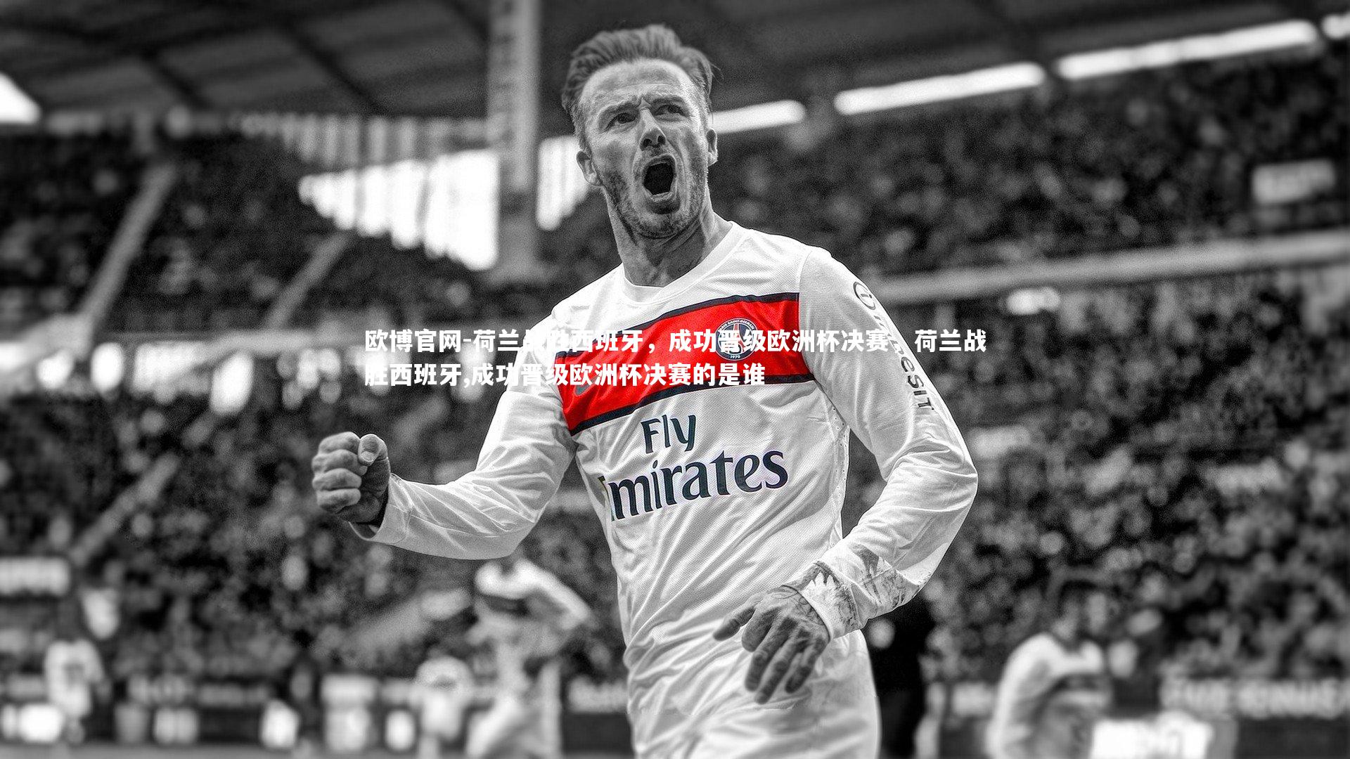 欧博官网-荷兰战胜西班牙，成功晋级欧洲杯决赛，荷兰战胜西班牙,成功晋级欧洲杯决赛的是谁-第1张图片-欧博官网