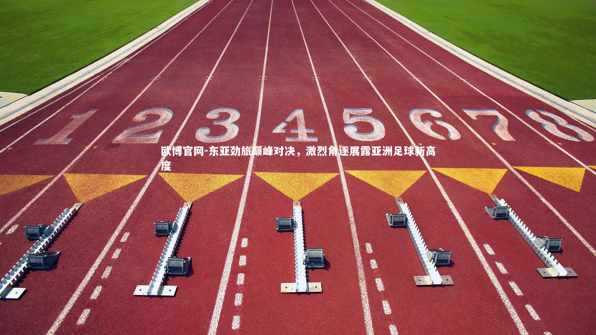 欧博官网-东亚劲旅巅峰对决，激烈角逐展露亚洲足球新高度-第1张图片-欧博官网