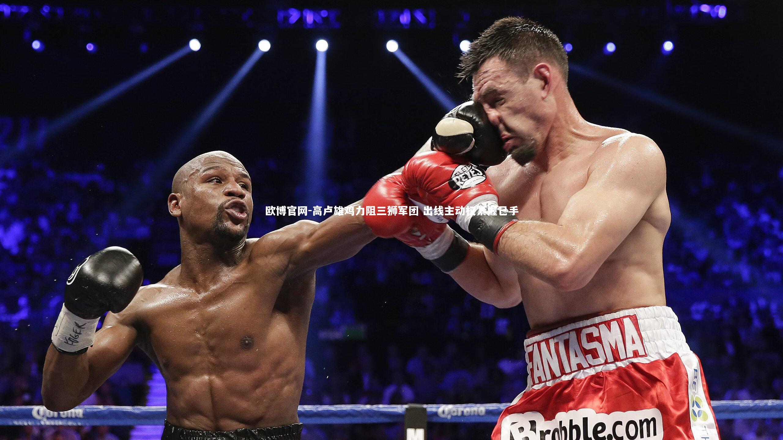 欧博官网-高卢雄鸡力阻三狮军团 出线主动权紧握己手-第1张图片-欧博官网