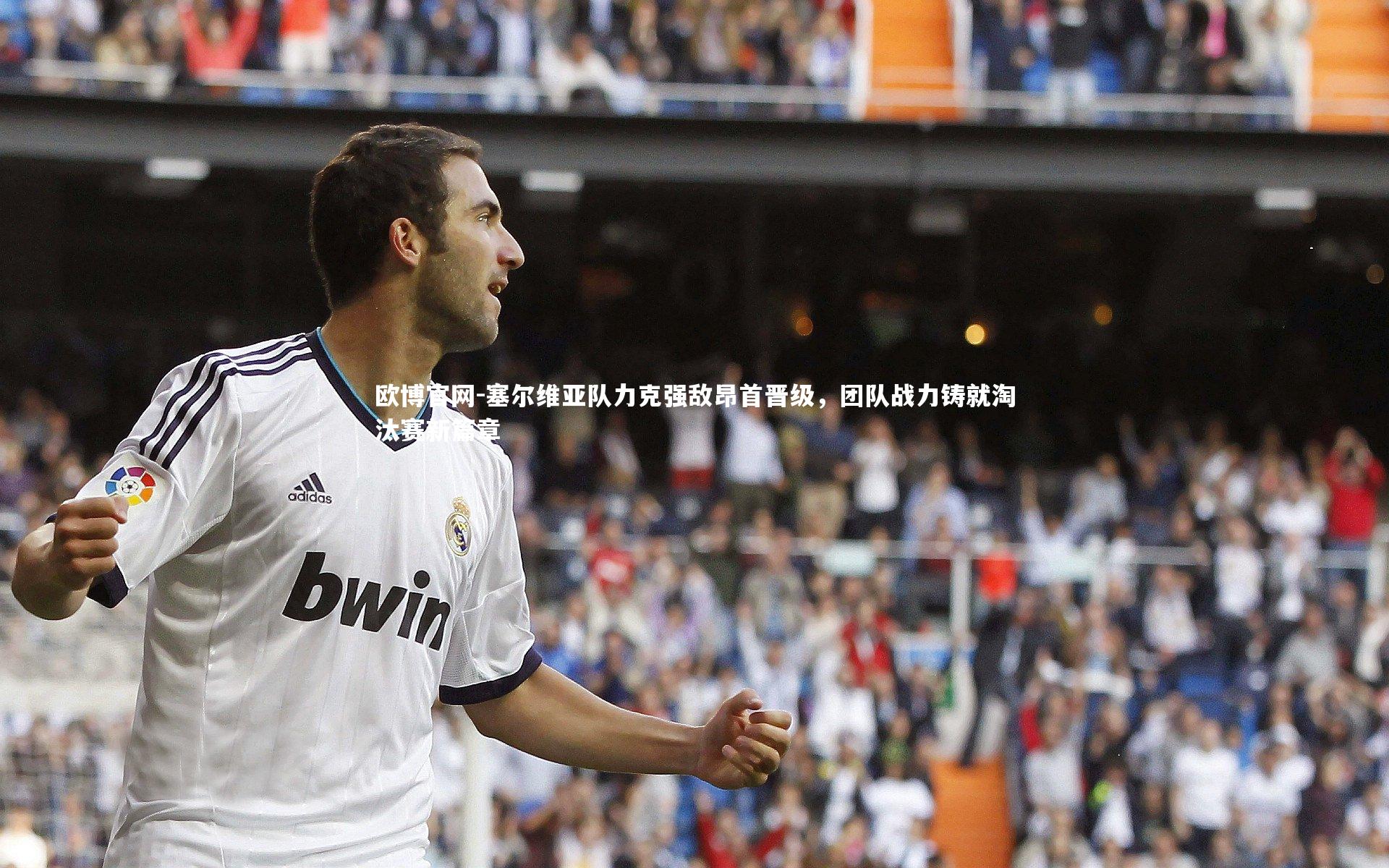 欧博官网-塞尔维亚队力克强敌昂首晋级，团队战力铸就淘汰赛新篇章-第2张图片-欧博官网